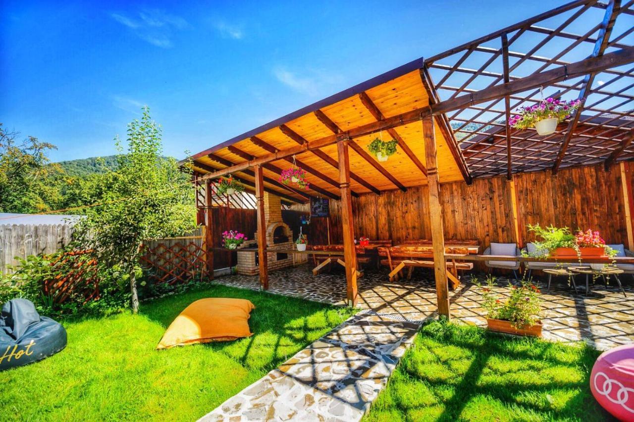 Amandra Chalet Сіная Екстер'єр фото