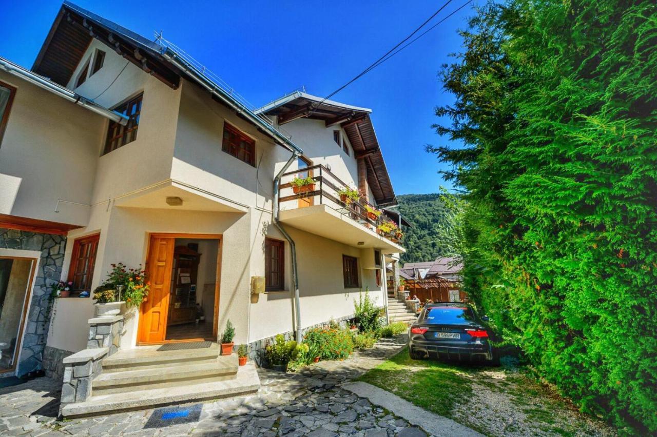 Amandra Chalet Сіная Екстер'єр фото