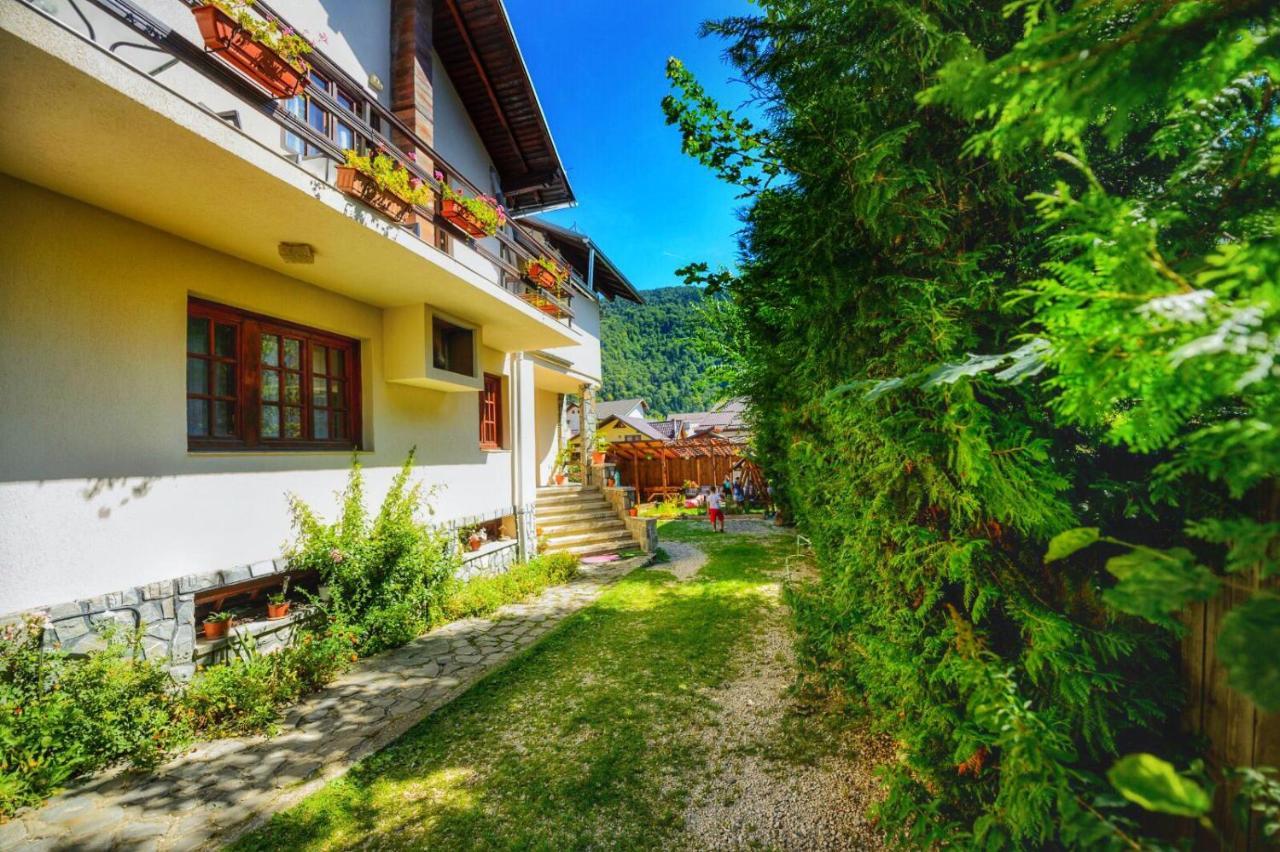 Amandra Chalet Сіная Екстер'єр фото