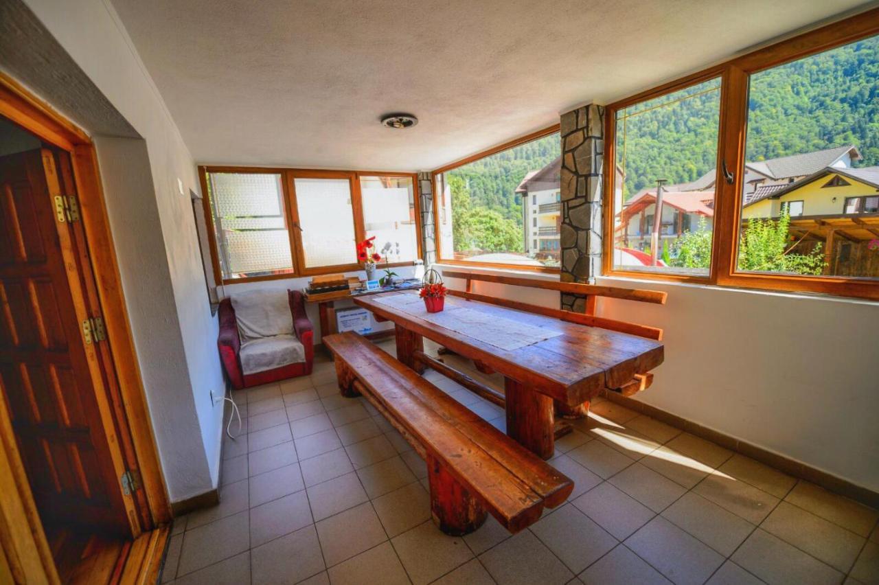 Amandra Chalet Сіная Екстер'єр фото