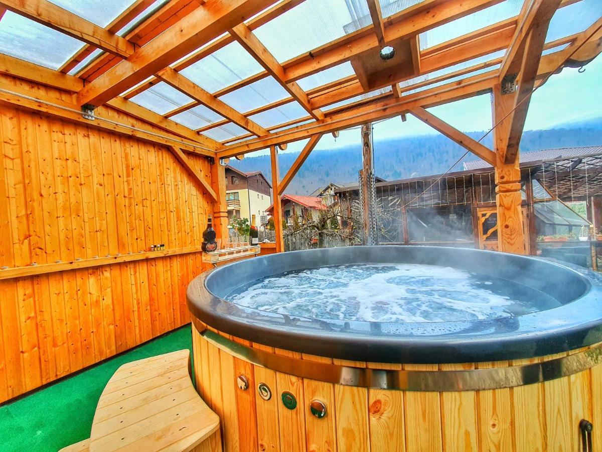 Amandra Chalet Сіная Екстер'єр фото