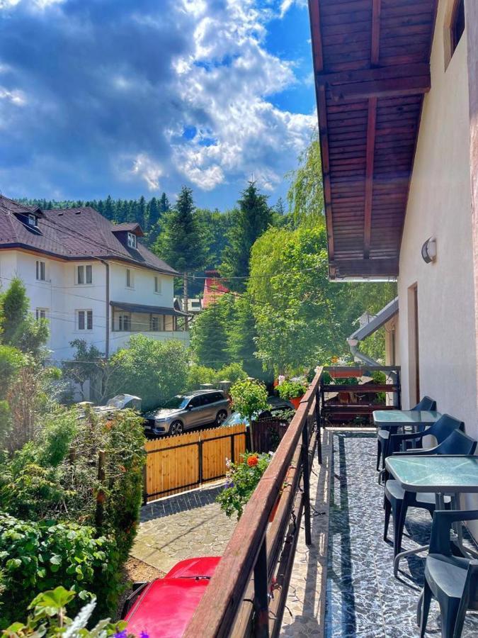 Amandra Chalet Сіная Екстер'єр фото