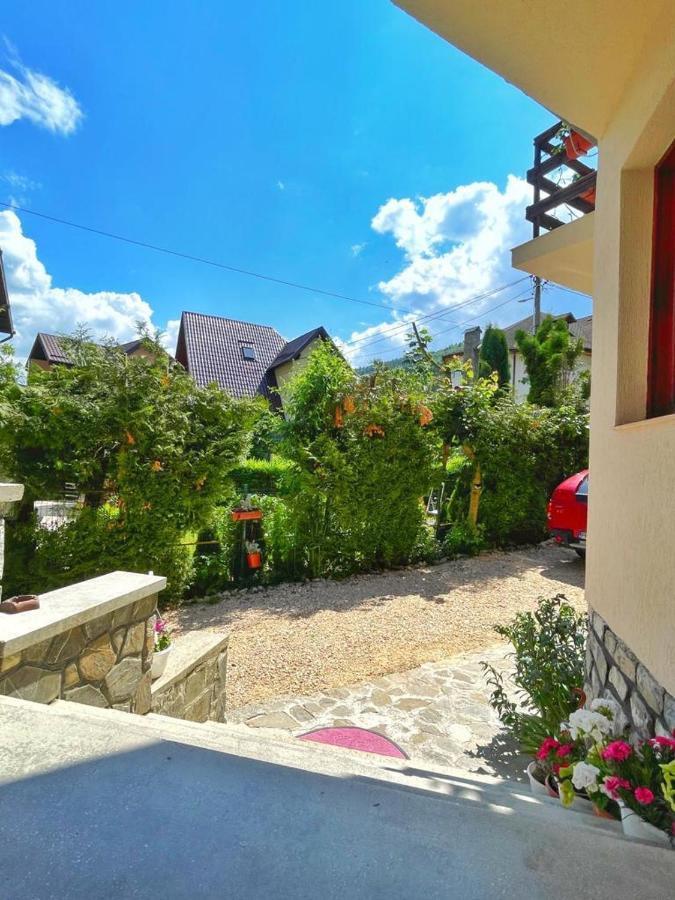 Amandra Chalet Сіная Екстер'єр фото