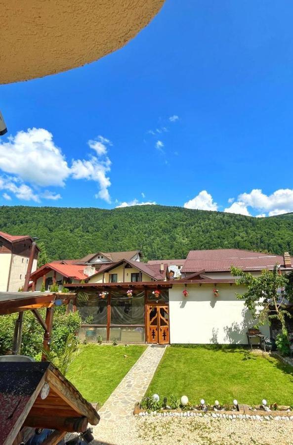 Amandra Chalet Сіная Екстер'єр фото