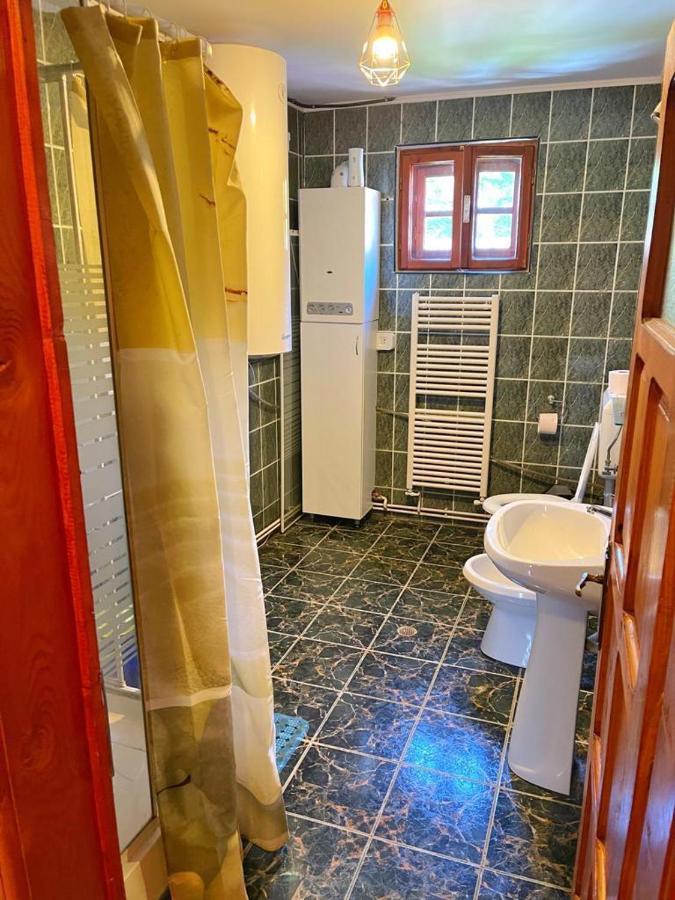 Amandra Chalet Сіная Екстер'єр фото