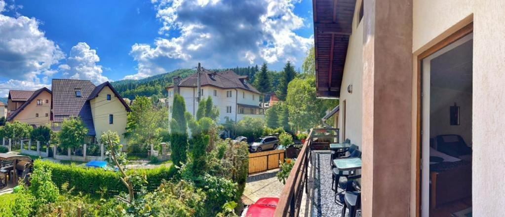 Amandra Chalet Сіная Екстер'єр фото