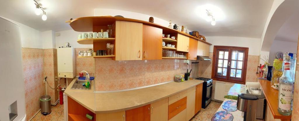Amandra Chalet Сіная Екстер'єр фото