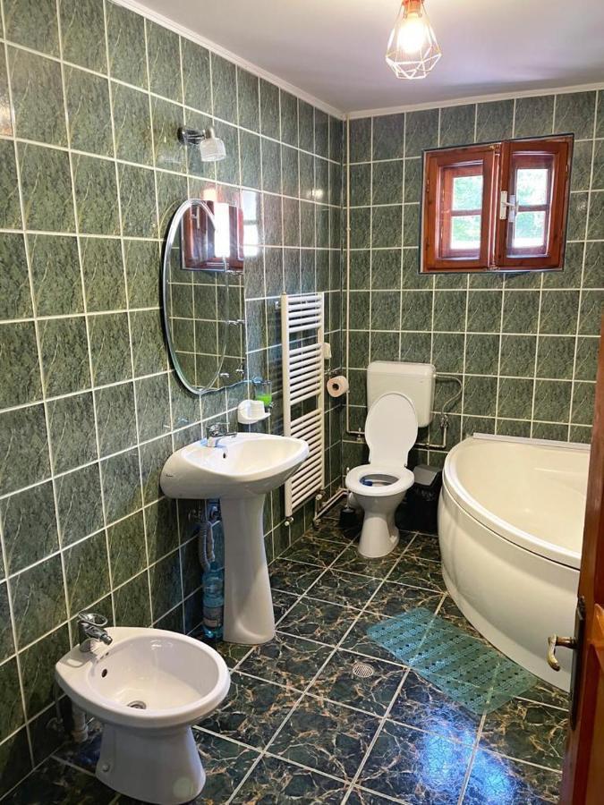 Amandra Chalet Сіная Екстер'єр фото