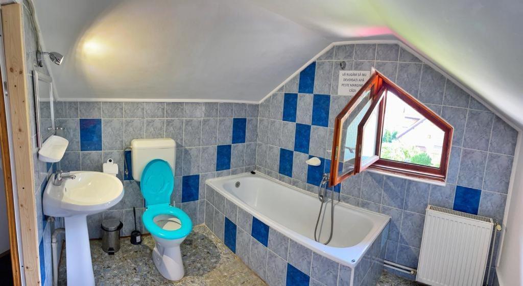 Amandra Chalet Сіная Екстер'єр фото