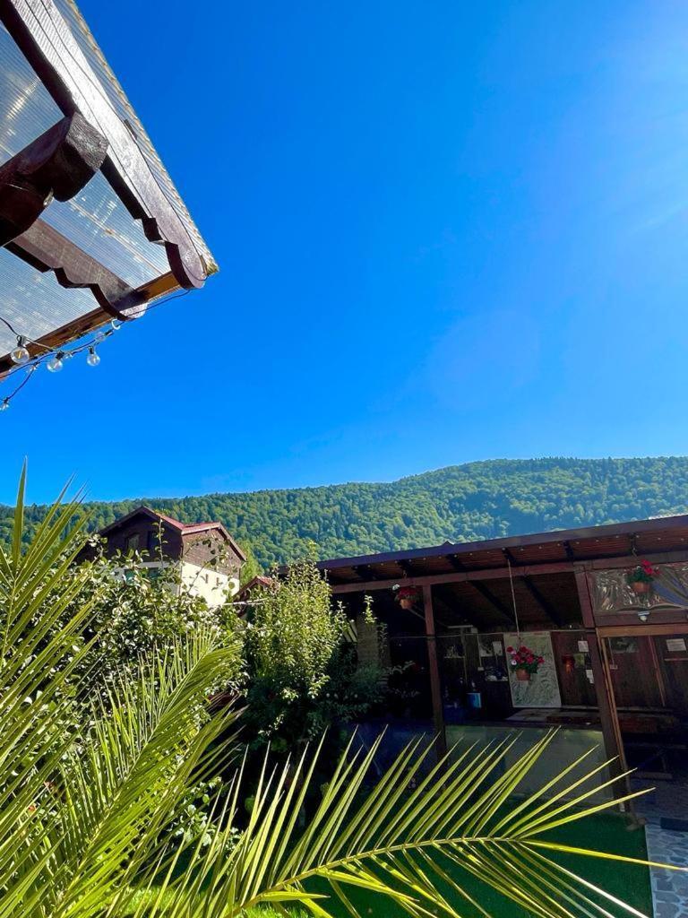 Amandra Chalet Сіная Екстер'єр фото