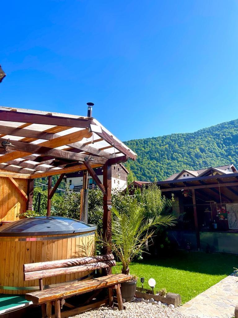 Amandra Chalet Сіная Екстер'єр фото