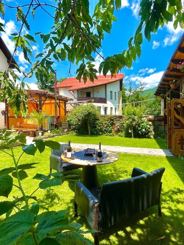 Amandra Chalet Сіная Екстер'єр фото
